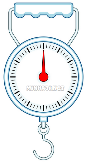 الميزان الزنبركي الميزان الزنبركي